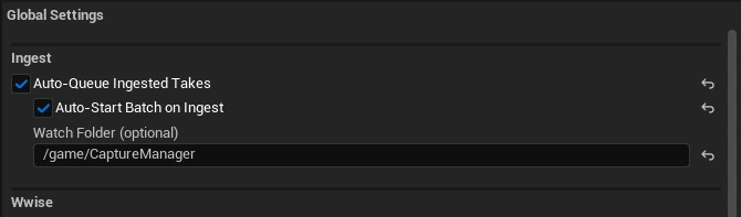 Global Settings, Ingest section: Auto-Queue Ingested Takes, Auto-Start Batch on Ingest, and Watch Folder