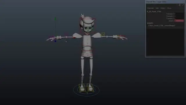 Character Rig